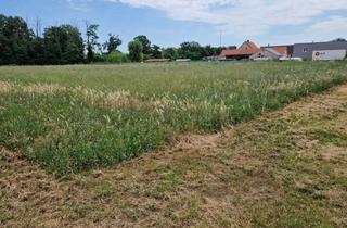 Grundstück zu kaufen in 2604 Theresienfeld, Großes Baugrundstück mit ca. 6000 m² in Theresienfeld