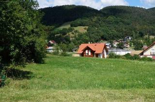 Grundstück zu kaufen in 2732 Willendorf, *Provisionsfrei in Traumlage* Großzügiges Baugrundstück mit Blick auf die Hohe Wand