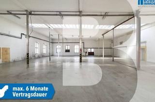 Lager mieten in 4050 Traun, Preiswertes Lager in Traun | Sofortbezug Für Max. 6 Monate
