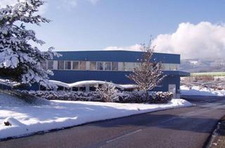 Gewerbeimmobilie kaufen in Alpinestrasse 43, 8650 Kindberg, 8650 Kindberg - Gewerbeimmobilie mit Produktionshalle und Bürotrakt in Toplage und Topzustand (Kauf oder evtl. auch Miete)
