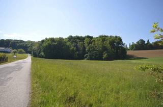 Grundstück zu kaufen in 7543 Limbach, Großes Baugrundstück 1406m² in Limbach, Burgenland – Eigenheim zum Top-Preis!
