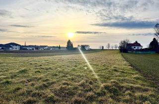 Grundstück zu kaufen in 7304 Großwarasdorf, Baugrundstück mit 1.577 m² ruhig und sonnig gelegen am Ortsrand von Großwarasdorf