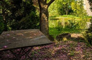 Haus kaufen in 2551 Enzesfeld-Lindabrunn, "Die kleine Muse am Teich!"