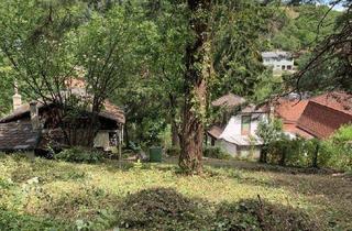 Grundstück zu kaufen in 2123 Kronberg, Großzügiges 1115m² Grundstück mit Garten in 2123 Kronberg, Niederösterreich!