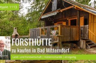 Lager kaufen in 8983 Bad Mitterndorf, Land- / Forstwirtschaft und Hüttenromantik im Steirischen Salzkammergut