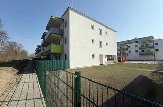 Wohnung mieten in 2442 Unterwaltersdorf, Schöne 4-Zimmerwohnung im Hasengarten - ERSTBEZUG - UNTERWALTERSDORF
