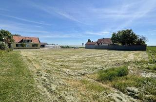Grundstück zu kaufen in 7162 Tadten, Zwei nebeneinanderliegende Baugrundstücke in Tadten - 703 u. 705 m2