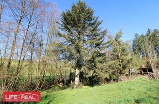 Grundstück zu kaufen in 4111 Walding, Großzügiges Grundstück mit Altbestand & Potential