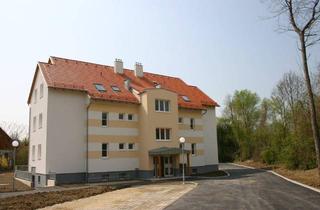 Wohnung mieten in Weiherweg, 3380 Pöchlarn, Schöne 3 Zimmerwohnung mit Balkon in Pöchlarn
