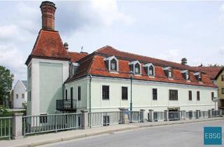 Wohnung mieten in Mühlgasse WE 2, 3943 Schrems, 3-Zimmerwohnung im 2.OG mit Terrasse