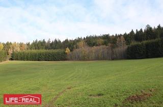 Grundstück zu kaufen in 4170 Sankt Oswald bei Haslach, sonniges Grundstück mit Nutzgrund und Wald