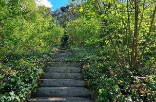 in Parkgasse, 2123 Kronberg, Großer Garten im südlichen Weinviertel wartet auf Sie!