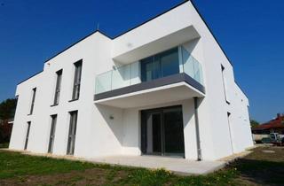 Wohnung kaufen in 2460 Bruck an der Leitha, SÜDTERRASSE MIT EIGENGARTEN UND GRÜNBLICK NIEDRIGENERGIE