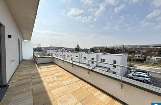 Wohnung mieten in 2700 Wiener Neustadt, Wohnen mit Stil und Komfort – BELLA VITA in Wiener Neustadt