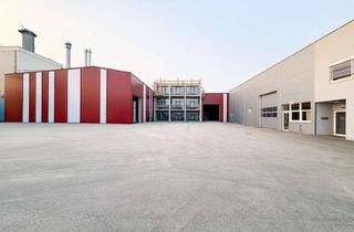 Lager mieten in 1210 Wien, Neubau Betriebsobjekt im Wiener Norden