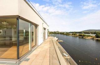 Penthouse kaufen in 1190 Wien, Iconic Penthouse on the Water with 485m2 Terrace: Where Sky Meets Water - Unbeatable View