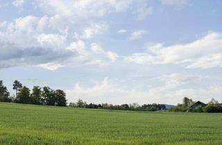 Gewerbeimmobilie kaufen in 7400 Oberwart, Pferdehof mit Landwirtschaft