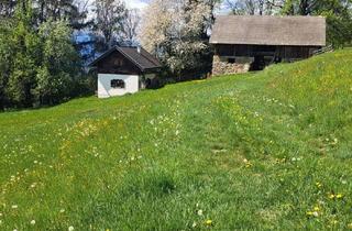 Almhütte zu kaufen in 9861 Eisentratten, Almhütte