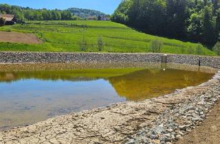 Grundstück zu kaufen in 8444 Brünngraben, Naturidylle in der Südsteiermark - Teichanlage mit eigener Quelle und Fischerhütte in Vorbereitung