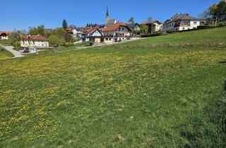 Grundstück zu kaufen in 4372 Sankt Georgen am Walde, Baugrund (gemischtes Baugebiet mit Einschränkung) mit Möglichkeit auf Erweiterung der Fläche