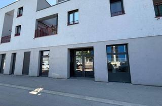 Büro zu mieten in Leopoldine-Padaurek-Straße, 1210 Wien, neuwertige Geschäftsfläche Leopoldine Padaurek Str.