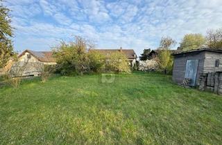 Grundstück zu kaufen in 2230 Gänserndorf, Wunderschönes Großes Grundstück in Ruhiger und Grüner Lage