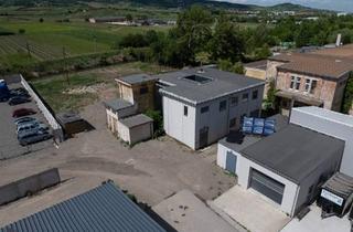 Gewerbeimmobilie kaufen in 2514 Traiskirchen, ECHTES LOFT (kein Fake!) + WERKSTATT + 2.100 m² EIGENGRUND