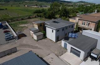 Lager kaufen in 2514 Traiskirchen, ECHTES LOFT (kein Fake!) + WERKSTATT + 2.100 m² EIGENGRUND