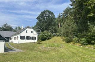 Bauernhäuser zu kaufen in 8380 Jennersdorf, Sooo schön - Charmantes Bauernhaus mit ca. 1 ha Grund in Einzellage