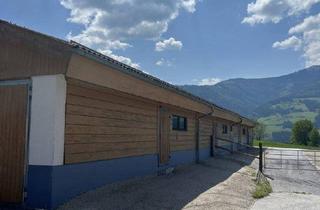 Gewerbeimmobilie kaufen in 8962 Mitterberg, Gewerbe-/Bauhof mit Hallen und Freiflächen
