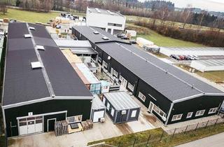 Lager kaufen in A1 Knoten Haid, 4501 Neuhofen an der Krems, Gewerbehallen mit Büro im Linzer Zentralraum