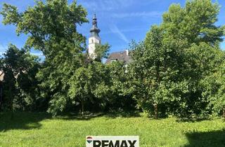 Wohnung mieten in 3433 Königstetten, "Jungfamilienwohnung mit Garten und Parkplatz"