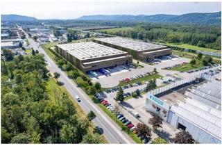Büro zu mieten in Franz-Haas-Straße, 2100 Leobendorf, 2100, Franz-Haas-Straße LogPark Vienna North | Gewerbe- & Logistik bis zu 14.000 m² anmietbar