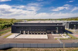 Büro zu mieten in Franz-Haas-Straße, 2100 Leobendorf, 2100, Franz-Haas-Straße LogPark Vienna North | Gewerbe- & Logistik bis zu 14.000 m² anmietbar