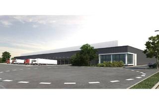 Büro zu mieten in 2512, Ebreichsdorfer Straße, 2512 Traiskirchen, Neubau Logistikpark Traiskirchen bei Wien A2 |anmietbar bis zu ca. 17.000 m²