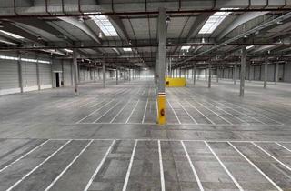 Büro zu mieten in 2104 Spillern, 2104, Wiener Straße Hochwertiges Logistikobjekt im Norden von Wien-Spillern