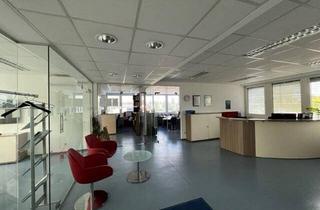 Büro zu mieten in 1230, Jochen-Rindt-Straße, 1230 Wien, 1230, Jochen-Rindt-Straße Funktionales Bürohaus!