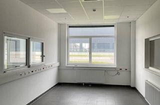 Büro zu mieten in 2431 Enzersdorf an der Fischa, 2431, Am Campus Mietbüros in Enzersdorf an der Fischa!