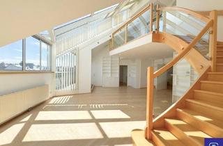 Penthouse mieten in 1030 Wien, Provisionsfrei: Klimatisierte 296m² Penthouse-Wohnung mit 10 Zimmern und Terrassen - 1030 Wien
