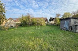 Grundstück zu kaufen in 2230 Gänserndorf, Preisreduktion! WUNDERSCHÖNES GROßES GRUNDSTÜCK IN RUHIGER UND GRÜNER LAGE