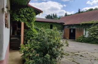 Bauernhäuser zu kaufen in 3730 Eggenburg, Bauernhof mit Pferdehof-Potential, nur 1 h von Wien