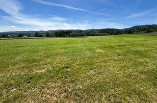 Grundstück zu kaufen in 8455 Oberhaag, Baugrundstück in idyllischer Grünlage