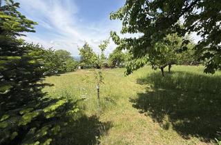 Grundstück zu kaufen in Reiserbauerberg, 4224 Wartberg ob der Aist, Top-Grundstück ohne Bauzwang mit Alpenblick in Südhanglage von Wartberg ob der Aist