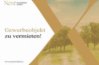 Immobilie mieten in 4050 Traun, Betriebsliegenschaft in Traun Samt Kränen bis zu 10t zu Vermieten!