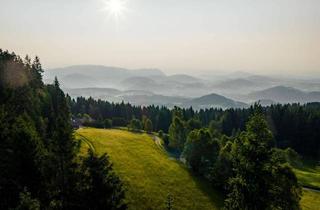 Grundstück zu kaufen in 9552 Steindorf am Ossiacher See, Exklusives Baugrundstück in Berglage mit Zweitwohnsitzwidmung