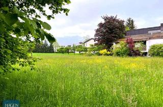 Grundstück zu kaufen in 6850 Dornbirn, Attraktives Baugrundstück in Dornbirn/Rohrbach – Ruhige Sackgassenlage am Rochusweg