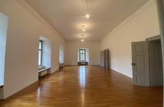 Wohnung mieten in 2435 Ebergassing, Herrschaftliches Wohnen im Schloss 3 Zimmer Wohnung 155 m²