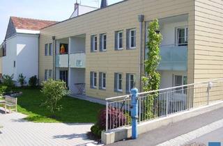 Wohnung mieten in Marktplatz 84 - 85, 4752 Riedau, Objekt 594: 2-Zimmerwohnung im Betreubaren Wohnen in 4752 Riedau, Marktplatz 84/85, Top 3