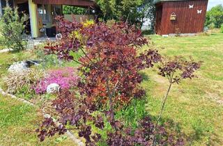 Grundstück zu kaufen in 7474 Eisenberg an der Pinka, Weinidylle Eisenberg: Baugrundstück mit Gartenhaus