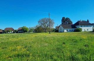 Grundstück zu kaufen in 4614 Marchtrenk, Baugrundstück in wunderschöner, grüner Siedlungslage in Machtrenk!
